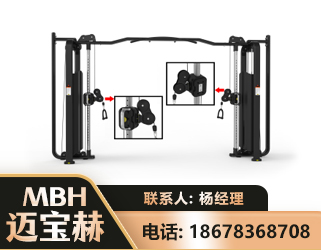 嘉兴大飞鸟训练器