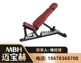 嘉兴可调哑铃椅