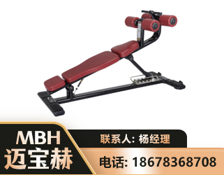 嘉兴可调腹肌板